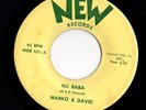 Rare Surf Novelty 45 MARKO & DAVID Ali Baba/If You Listen To Me New HEAR
