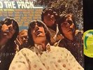 TERRY KNIGHT AND THE PACK 's/t' - LP - MONO RECORDING
