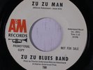 rare New Orleans Soul 45 ZU ZU BLUES BAND zu zu man Dr. John Listen