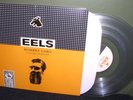 Eels 