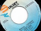 '87 SUNSET KILLER DIGI REGGAE 45 KING KONG MUSICAL TERRORIST ?