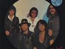 Deep Purple Perfect Strangers UK picture disc LP vinyl album record POLHP16
