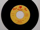 Rock 45 -- Terry Lee, Revelers -- Hey Baby Hey Sugar -- Red Fox 01 -- LISTEN