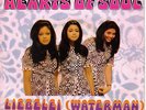 EUROVISION NEDERLAND 1970 HEARTS OF SOUL Liebelei (Waterman) FAT JACK in GERMAN