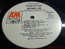 LOVE ARTHUR LEE VINDICATOR '72 A&M US ORIG WHITE LABEL PROMO CLEAN NEAR MINT