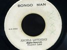 Hubert Lee Angels Listening / New Establishment - Shoud Have Been Me orig 7