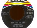 DEE DEE SHARP What Kind of Lady on Gamble Northern Soul 45 Hear