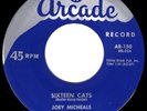 ARCADE ROCKABILLY BOP - JOEY MICHEALS - SIXTEEN CATS - RARE USA ORIGINAL 45