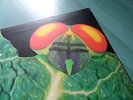 CATAPILLA ''CHANGES'' ORIG UK VERTIGO SWIRL MONSTER RARE LP PROG PSYCH