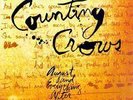 Counting Crows - August And Everything After 200g 2LP 45 RPM AUDIOPHILE NEW