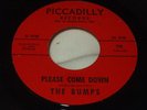 THE BUMPS Please Come Down 45 Garage Psych Proto-Punk Fuzz NW Piccadilly RARE