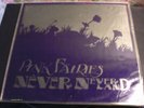 PINK FAIRIES NEVER NEVER LAND RARE PVC SLEEVE