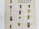 Syd Barrett. Barrett. SHSP4007 A-1G & B-1G
