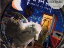 PUNK LP Fall Out Boy INFINITY ON HIGH picture disc w/ poster