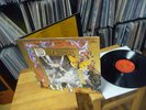 DULCIMER AND I TURNED IN MINT 1971 FOLK/PSYCH TOP RARITÄT