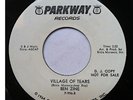 BEN ZINE - village of tears b/w what the heck's the hanky panky - PARKWAY