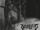Nordwind-Walk To The Woods/Nordwind LP,Lim.285,neu,Lunar Aurora,Horna,Graven