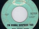 SUPER SATURN MOD R&B ROCKER / ROCKABILLY - THE STING RAYS - HOT CROSSOVER HEAR
