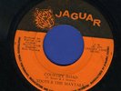 TOOTS & MAYTALS-COUNTRY ROAD-LOUIE LOUIE-JAGUAR-1972 REGGAE 45 7