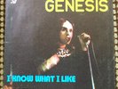 GENESIS  I KNOW WHAT A LIKE  7
