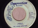 YOUNG SENATORS - Jungle. Rare Washington DC funk on INNOVATION. MP3