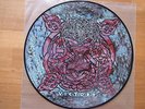 Unleashed / victory / Picture Disc / picture vinyl / Picture LP