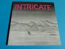 Intricate - Same Original LP 1992 German Thrash Metal MINT