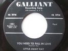 LITTLE JIMMY RAY You Need to Fall in Love GALLIANT 45 RARE NORTHERN SOUL POPCORN