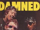 Orig 77 THE DAMNED self titled s/t same LP Stiff French Import EX condition punk