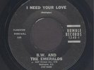 Doo Wop 45:  B.W. & The Emeralds  I Need Your Love // RUMBLE LINK WRAY  hear