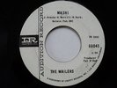 SURF INSTRO 45 The Wailers - Mashi / On the Rocks   Imperial Promo HEAR IT