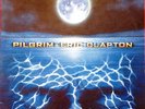 ERIC CLAPTON - PILGRIM - NEAR MINT - 2LP SET