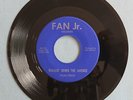 Rare Wisconsin Soul Doo Wop Garage 45 Vilas Craig Walkin’ Down The Avenue Fan Jr