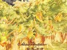 ADRIANO MONTEDURO REALE ACCADEMIA DI MUSICA VINILE LP 180 GRAMMI NUOVO