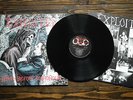 The Exploited - death before dishonour - Vinyl LP aus 1987