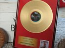 GOLDENE Schallplatte von TINA TURNER für Private Dancer - (Vinyl Golden Record)