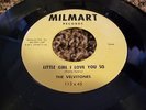 VERY RARE Doo Wop 45 Velvitones 