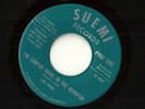 LOU PRIDE (SUEMI) I'M COM'UN HOME ORIGINAL PRESS 45 RARE TEXAS SOUL 45 VG++ hear