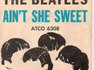 BEATLES Picture Sleeve VG+ AIN
