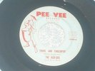MONSTER RARE PA GARAGE 45 RECORD THE AGO-GOS PEE VEE 2000 SHAKE AND FINGERPOP EX
