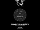 Paul McCartney Maybe I'm Amazed 12