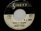TRUDY LYNN WHAT A WASTE RARE PROMO SINETT A KILLER  FUNK 45