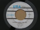 HOMER DANDILION WINE URA orig US GARAGE RURAL FOLK ROCK PSYCH 7