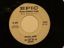 LINK WRAY Mary Ann EPIC DJ hear soundclip  GARAGE ROCK