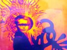 THE BRIAN JONESTOWN MASSACRE FIST FULL OF BEES 12