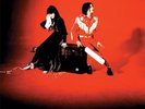 White Stripes Elephant 10th  2 X 12
