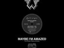 PAUL MCCARTNEY MAYBE IM AMAZED WINGS 12