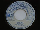 THE RADICALS - RUM TREE - 7