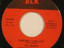 SHADES “Someone I Can Love” northern soul 45 on B-L-K rare private 2-sider (D.C)