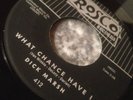 RARE 45 SKY SAXON DICK MARSH (PRE SEEDS)  